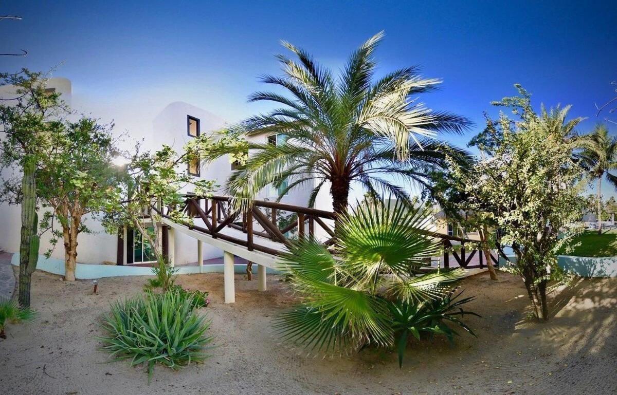 Sm Apartments San José del Cabo Exteriör bild